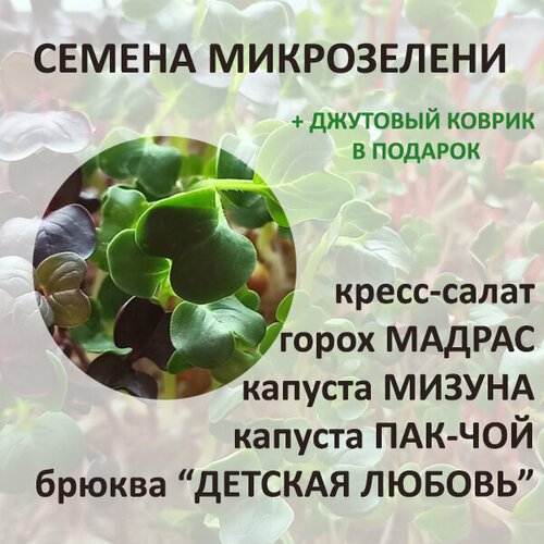 Набор семян микрозелени 1