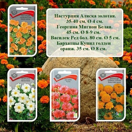Набор семян цветов для сада- Бархатцы, Георгина, Настурция и Василек (4 пачки)