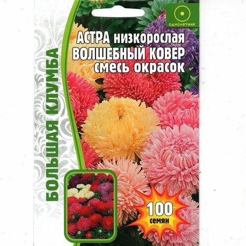 Астра Волшебный ковёр, смесь окрасок ( 1 уп: 100 семян )