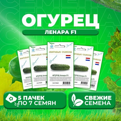 Огурец Ленара F1, 7шт, Vita Green Экстра, Rijk Zwaan (5 уп)