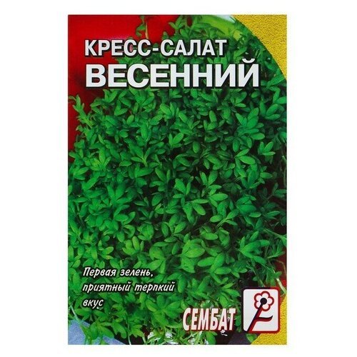 Семена Кресс-салат Весенний, 1 г (5 упаковок)