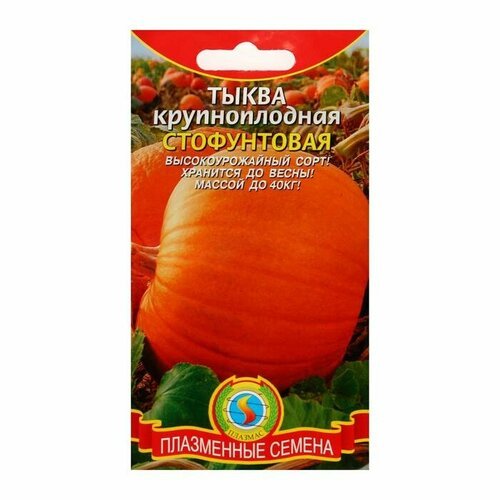 Семена Тыква крупноплодная 'Стофунтовая', 2 г