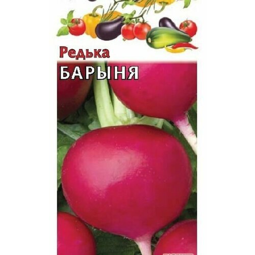 Семена Редька Барыня