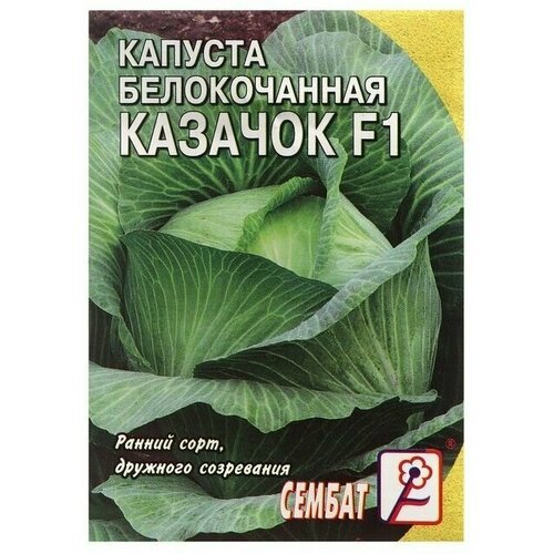 Семена Капуста белокачанная Казачок0,1 г (5 упаковок)