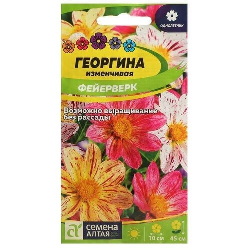 Семена цветов Георгина Фейерверк 0,2 г 6 упаковок