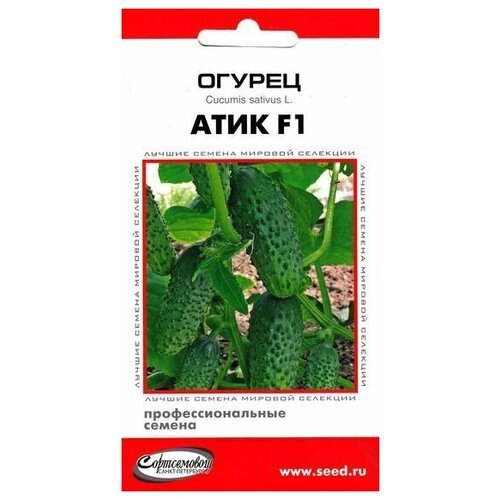 Огурец Атик F1, 6 семян