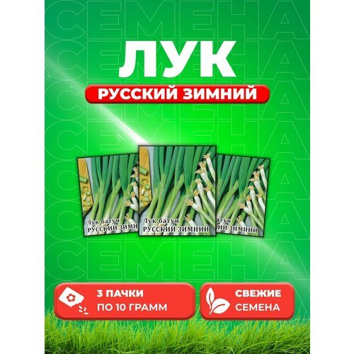 Лук батун Русский зимний 10,0 г (3уп)