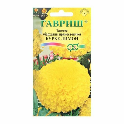 Семена цветов Бархатцы прямые (Тагетес) 'Бурке Лимон', 0,3 г (комплект из 50 шт)