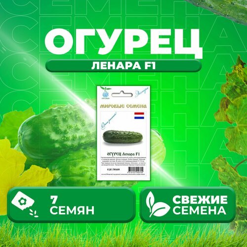 Огурец Ленара F1, 7шт, Vita Green Экстра, Rijk Zwaan (1 уп)