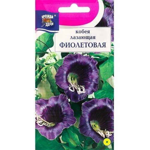 Семена цветов Кобея Фиолетовая, 0,3 г 6 упаковок