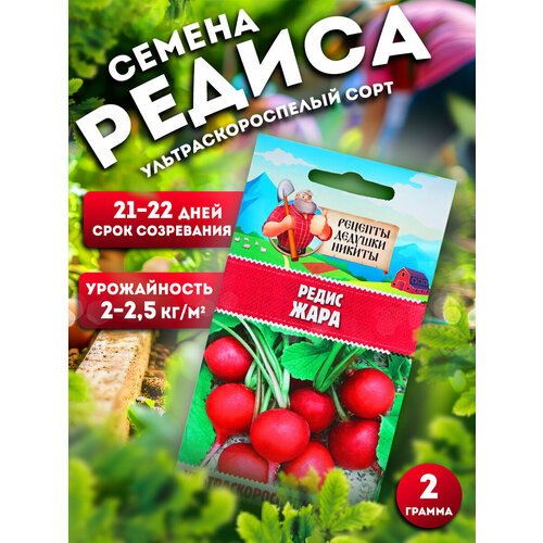 Семена Редис 'Жара', 2 г