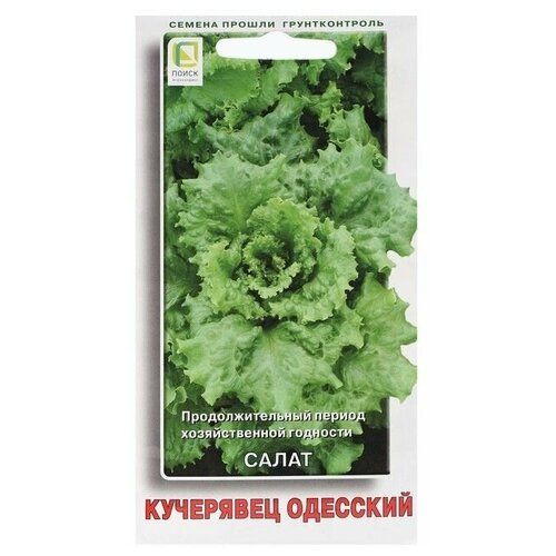 Семена Салат . Кучерявец Одесский . 1 г .4 уп.