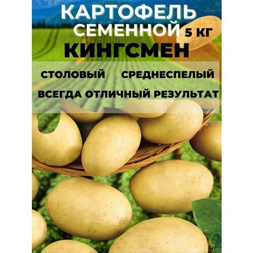 Картофель семенной