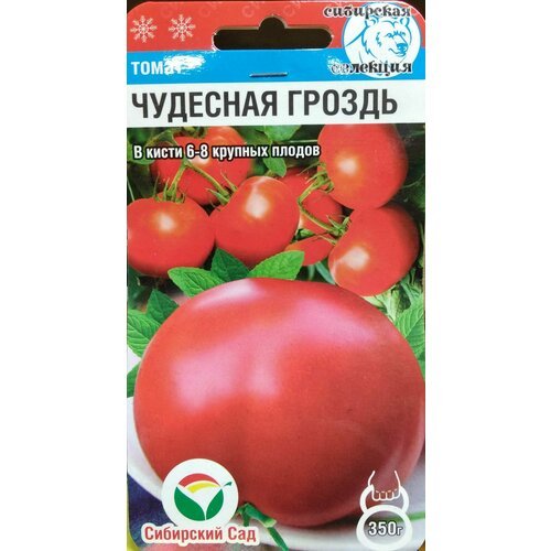 Томат Чудесная Гроздь (Сибирский сад), в кисти 6-8 идеально ровных крупных плодов, высокоурожайный даже при неблагоприятных условиях, 20 семян