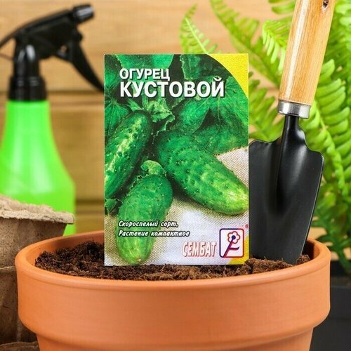 Семена Огурец Кустовой, 0,5 г (5 упаковок)