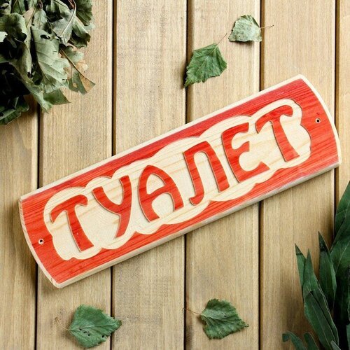 Табличка для бани 'Туалет', массив сосны, 10х30х1,5см