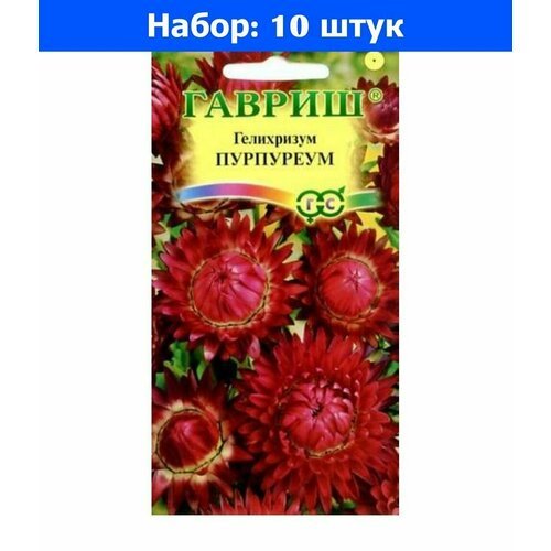 Гелихризум Пурпуреум 0,1г Сухоцвет Одн 70см (Гавриш) - 10 пачек семян