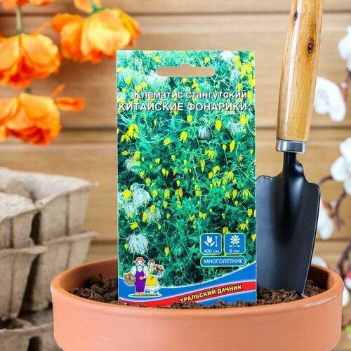 Семена цветов Клематис Уральский дачник, Китайские Фонарики, 12 шт 4 упаковки