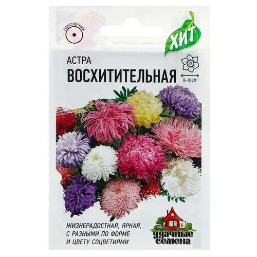 Семена цветов Астра 'Удачные семена', 'Восхитительная', смесь, однолетник, 0,3 г