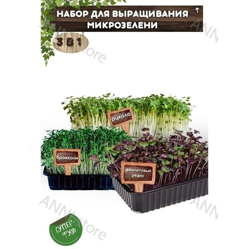 Набор для выращивания микрозелени 3 в 1 Фиолетовый редис Брокколи Рукола / Микрозелень семена / наборы для проращивания на балконе в квартире + лотки