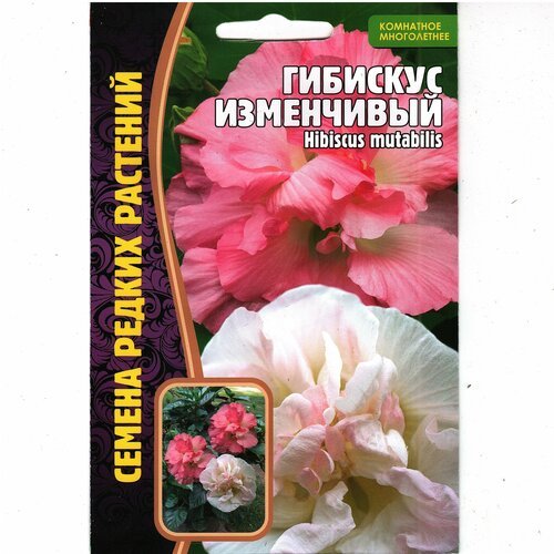 Гибискус изменчивый/ Hibiscus mutabilis, комнатный многолетник ( 1уп: 10 семян )