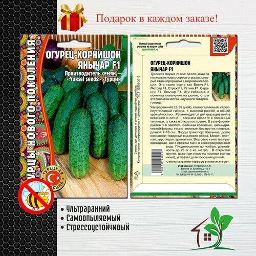 Огурец Янычар F1 (2 упаковки)