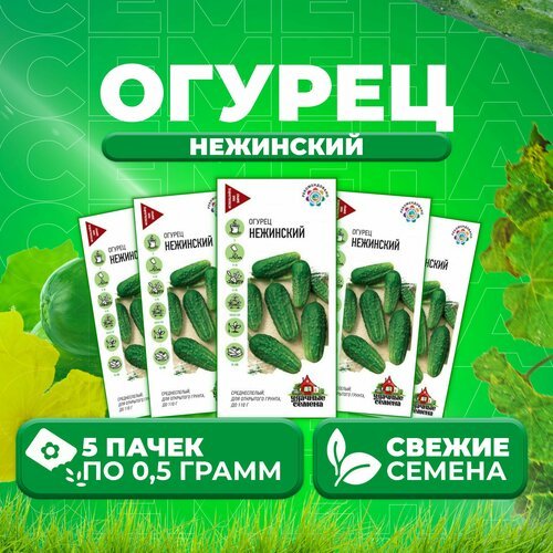 Огурец Нежинский, 0,5г, Удачные семена (5 уп)