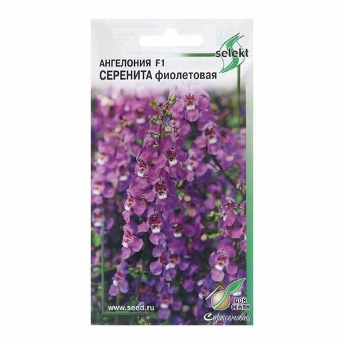 Семена цветов Ангелония 'Серенита F1 фиолетовая', 3 шт ( 1 упаковка )