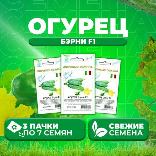 Огурец Бэрни F1, 7шт, Vita Green Экстра, River Seeds (3 уп)