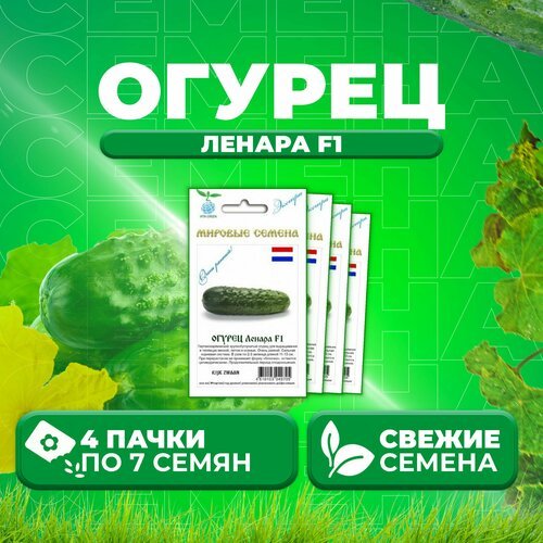 Огурец Ленара F1, 7шт, Vita Green Экстра, Rijk Zwaan (4 уп)