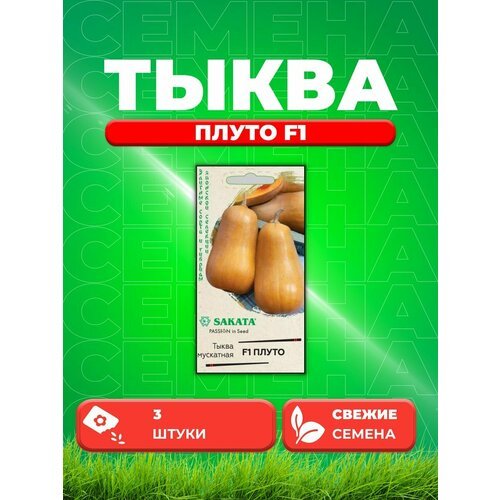 Тыква мускатная Плуто F1, 3шт, Sakata