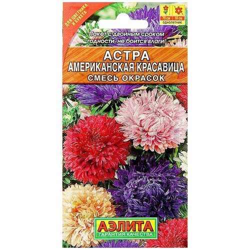 Семена цветов Астра 'Американская красавица', смесь окрасок, О, 0,2 г