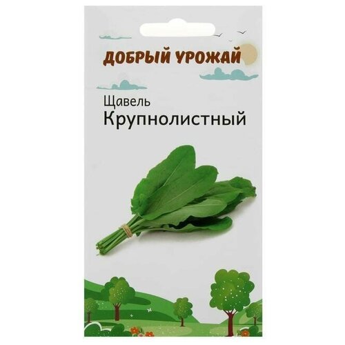 Семена Щавель Крупнолистный 1 гр