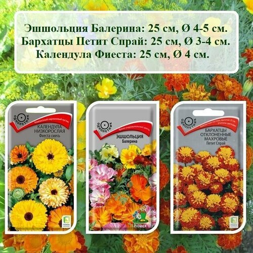 Набор семян цветов из 3х пачек - Эшшольция, Бархатцы и Календула.