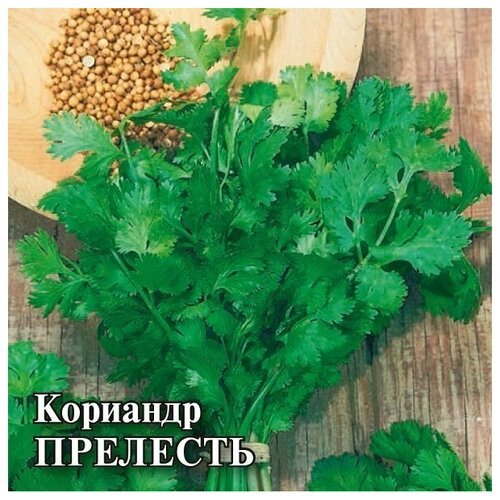 Гавриш Кориандр Прелесть 100 г