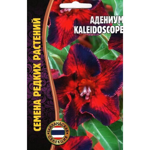 Адениум KALEIDOSCOPE, комнатный многолетник ( 1 уп: 3 семени )