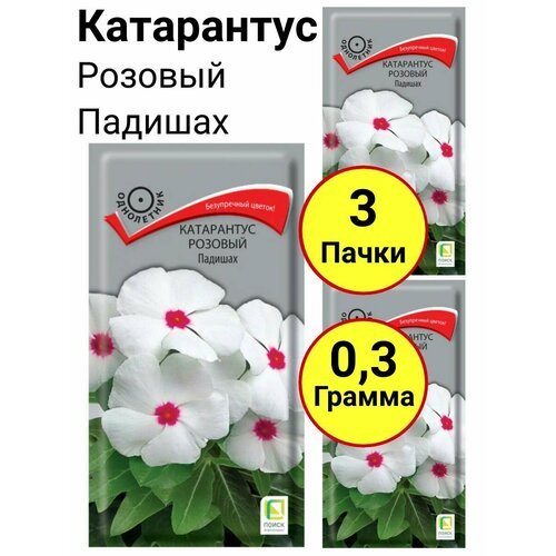 Катарантус розовый Падишах Однолетник 0,1 грамм, Поиск - 3 пачки