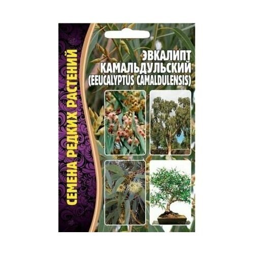 Эвкалипт Камадульский 0,05 г редкие семена (2шт в заказе)