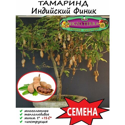 Семена 'Тамаринд' (Индийский финик) 1 шт.