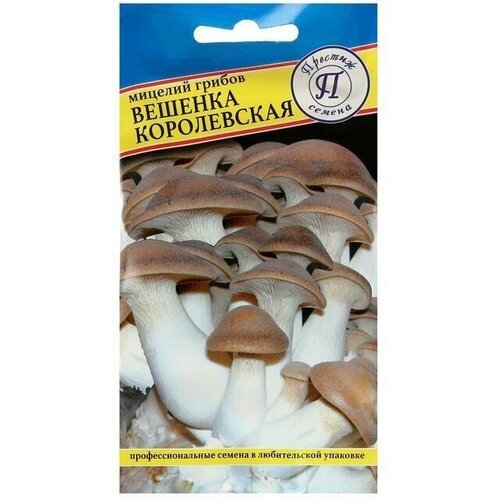 Мицелий грибов Вешенка королевская , 12 шт ( 1 упаковка )