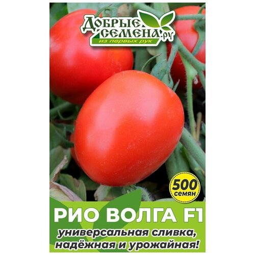 Семена томата Рио Волга F1 - 500 шт - Добрые Семена. ру