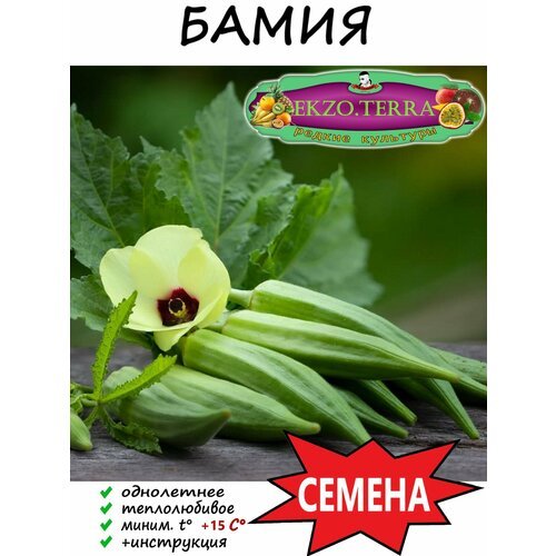 Семена Бамия 10 шт.