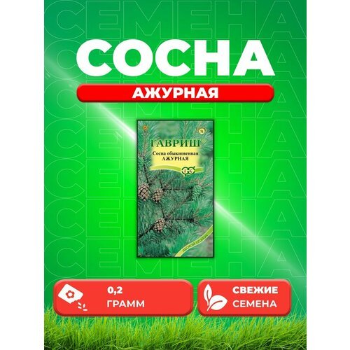 Сосна обыкновенная Ажурная 0,2 г