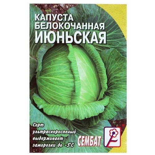 Семена Капуста белокачанная Июньская, 0,5 г (5 упаковок)