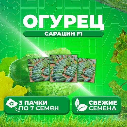 Огурец Сарацин F1, 7шт, Vita Green Экстра, Yuksel Tohum (3 уп)