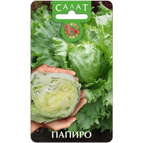 Салат кочанный Папиро