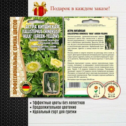 Астра китайская Hulk Green-Yellow (2 упаковки)