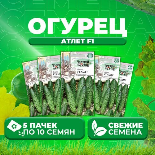 Огурец Атлет F1, 10шт, Гавриш, Урожай на окне (5 уп)