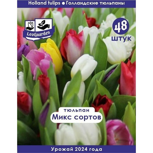 Тюльпан Луковица, Микс сортов, 48шт