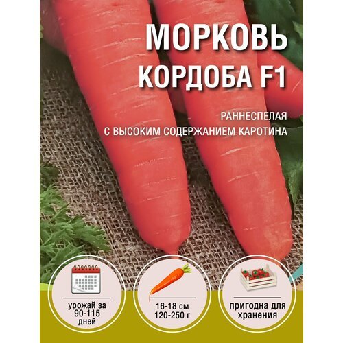 Морковь Кордоба F1 (1 пакет по 0,3гр)